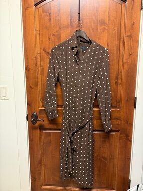 Banana Republic Factory Brown Dress with White Polka Dots